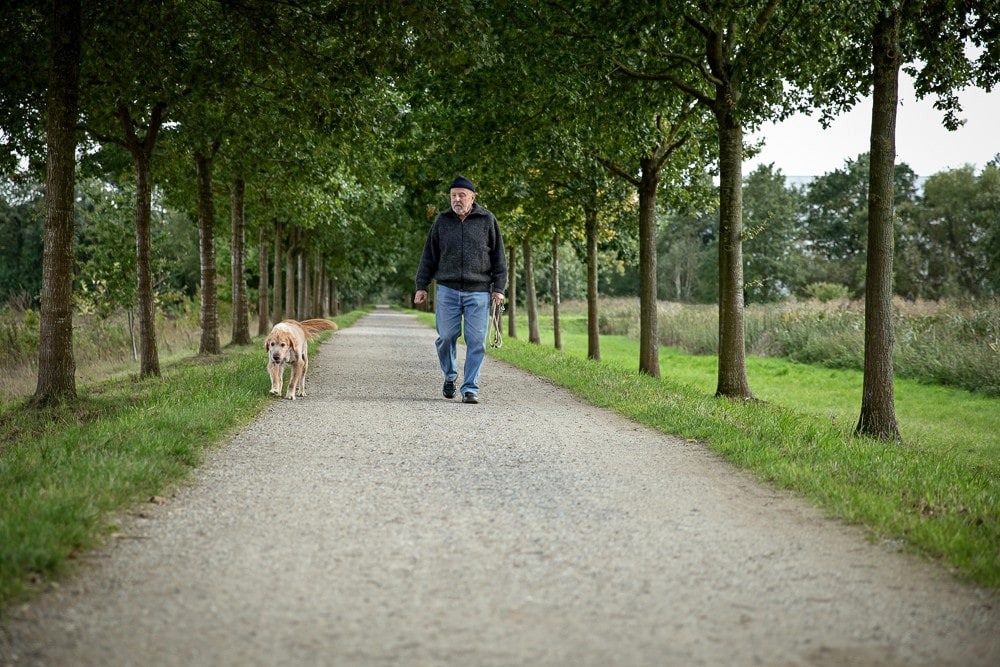 alter mann mit Hund beim gassi gehen