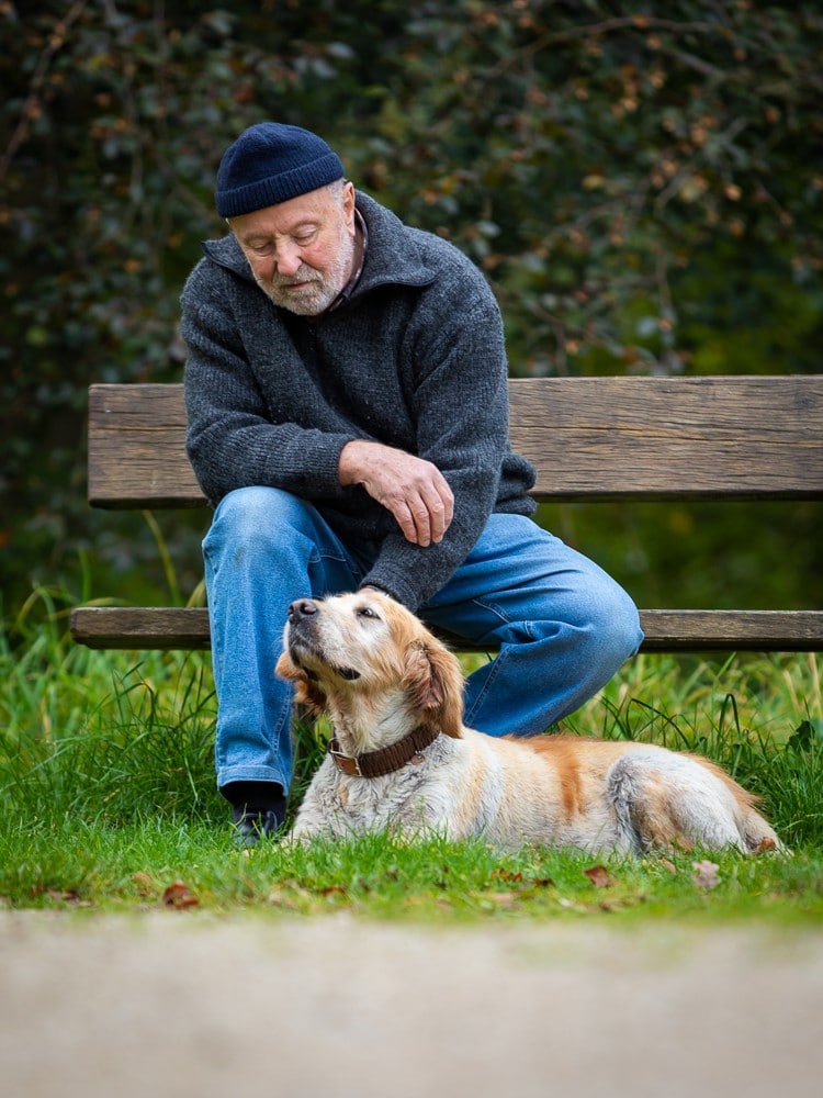 Fotoshooting mit golden retriever bremen