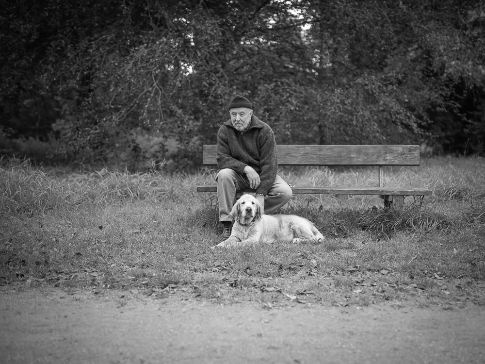 Fotoshooting mit Hund Bremen