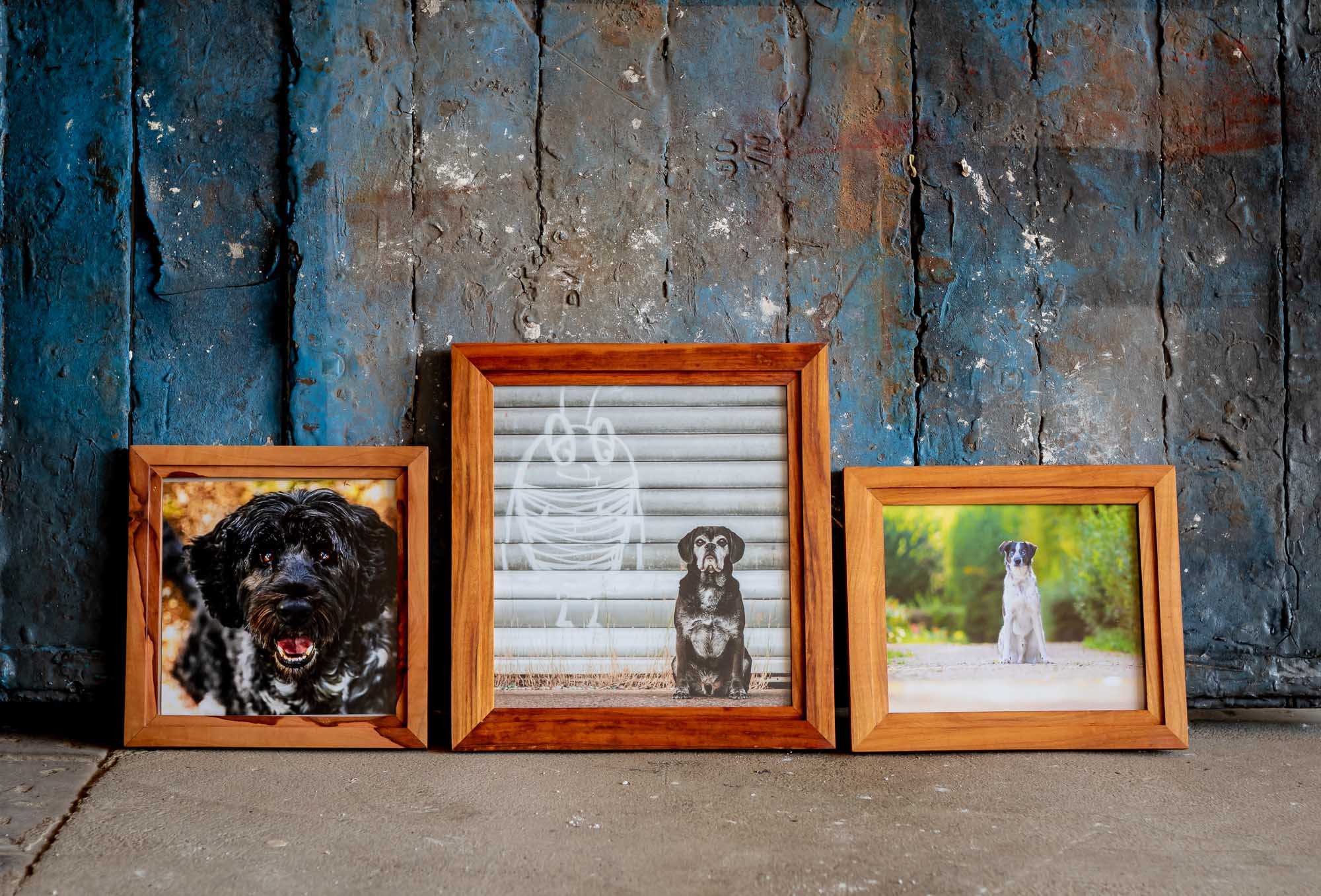 Holzbilderrahmen mit Hundefotos 