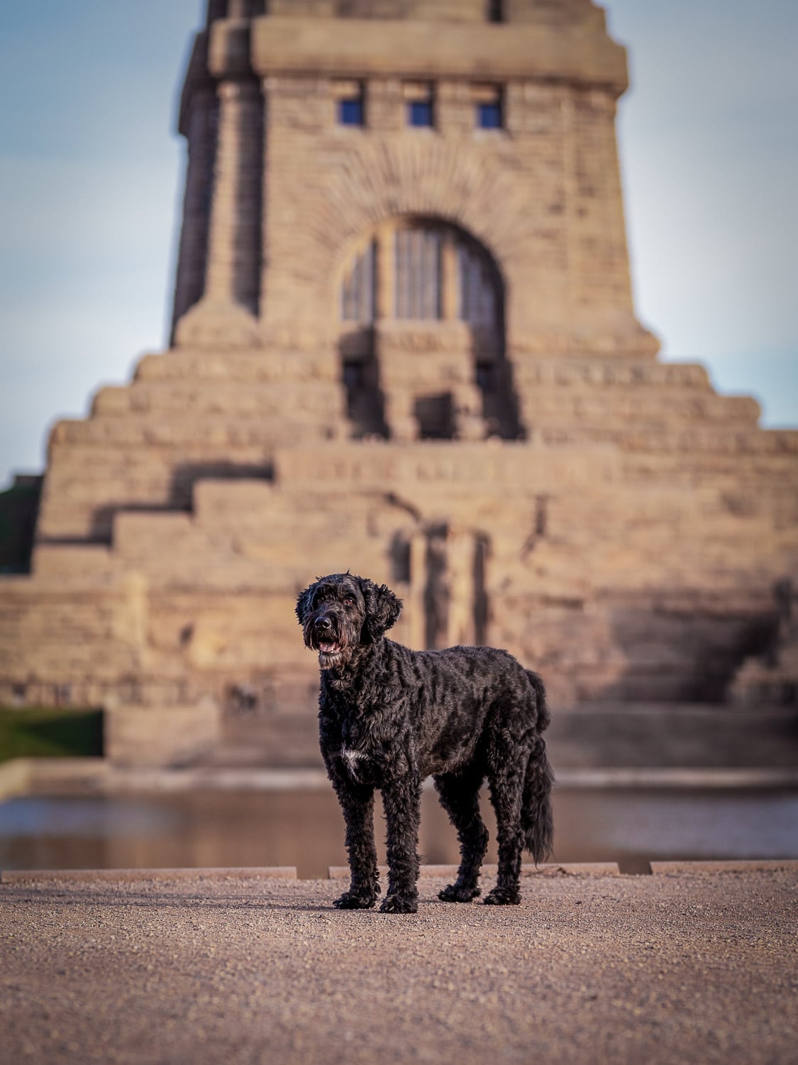 schwarzer Hund vor voelkerschlachtdenkmal Leipzig Hundefotoshooting Leipzig