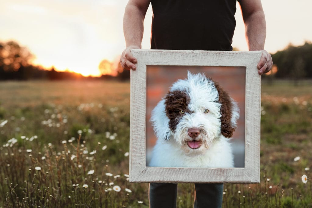 Holzrahmen mit Hundefoto Bremen