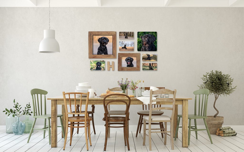 Wandgalerie aus holz mit Hundefotoshooting