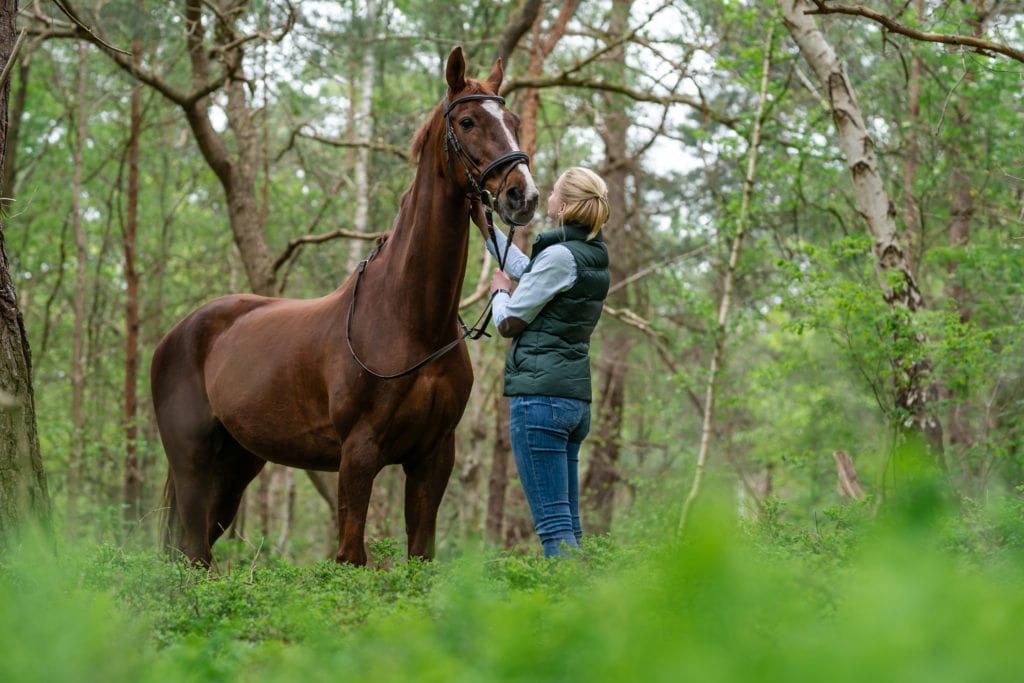 Pferd mit Frau im Wald während Pferdefotoshooting