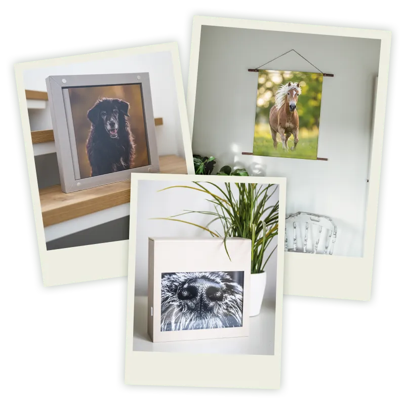Handgefertigtes Fotoprodukt Tierfotografie Bremen von Ines Arnshoff.