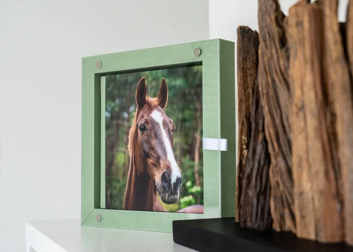 Grüne Präsentationsbox mit Sichtfenster und Pferdeporträt, darin das handgefertigte Fine-Art-Album aus Italien, Fotoprodukt der Pferdefotografie Bremen von Ines Arnshoff