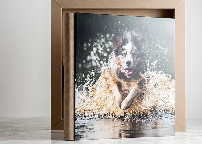 Aufgeschlagenes Fine-Art-Album mit dem Foto eines durchs Wasser springenden Australian Shepherds, Fotoprodukt der Hundefotografie Bremen von Ines Arnshoff.”
