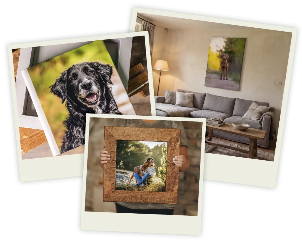 Handgefertigtes Fotoalbum aus Italien mit Acrylglasdeckel, Ergebnis eines Hundefotoshootings, Fotoprodukt der Hundefotografie Bremen von Ines Arnshoff