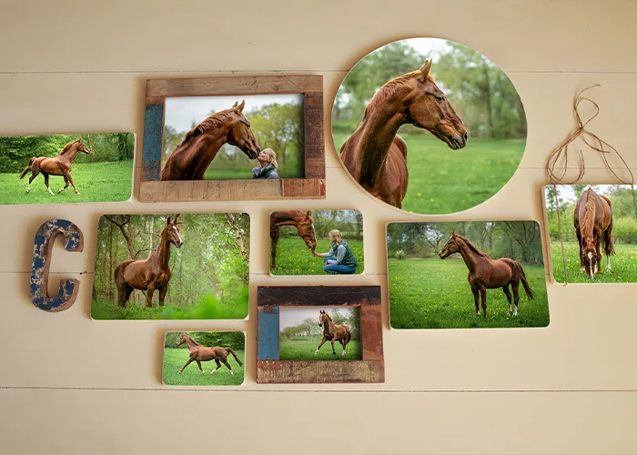 Handgefertigte Wandgalerie mit Pferdefotos aus Fotoshooting, Fotoprodukt der Pferdefotografie Bremen von Ines Arnshoff.