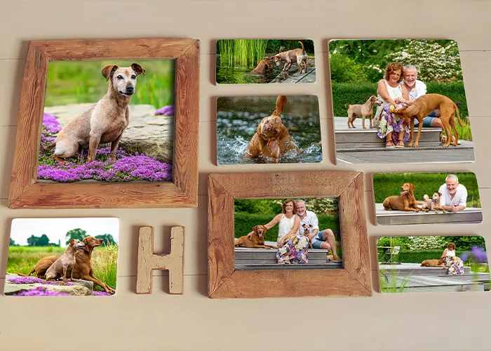 Handgefertigte Wandgalerie aus Holz, Fotoprodukt der Hundefotografie Weyhe von Ines Arnshoff.
