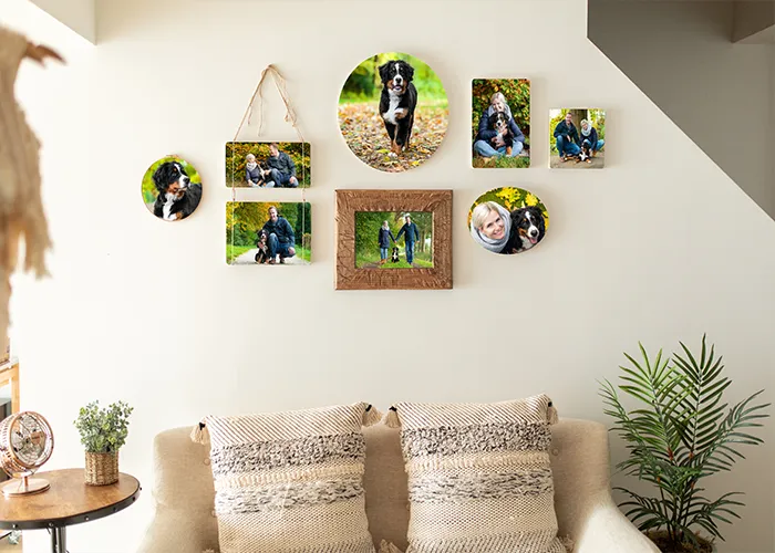 Wandgalerie mit gerahmten Hundefotos über dem Sofa, Fotoprodukt der Hundefotografie Bremen von Ines Arnshoff