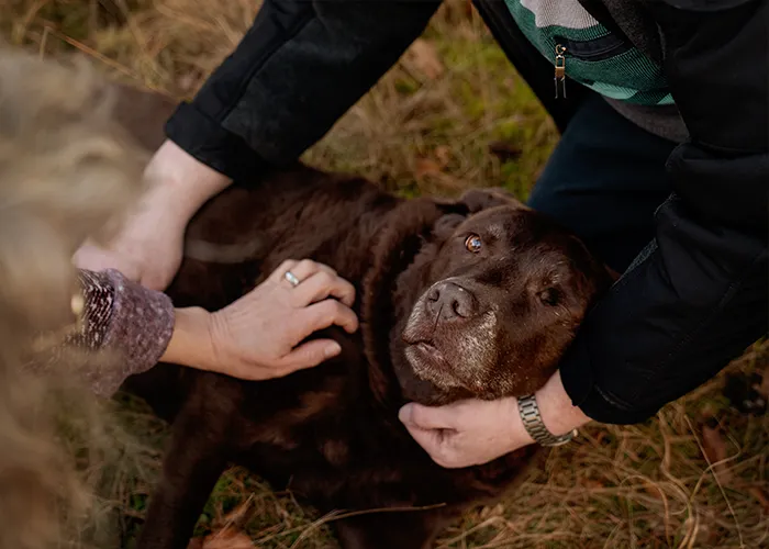 Silke und Thomas halten den Kopf ihrer Labrador-Hündin Luna in beiden Händen, Nähe zwischen Hund und Mensch beim Fotoshooting.