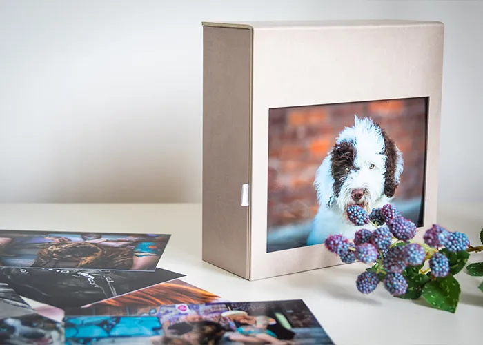 Elegante Portfoliobox mit dem Print eines Spanischen Wasserhunds im Sichtfenster, daneben lose Fine-Art-Prints, Fotoprodukt von Ines Arnshoff aus Bremen.