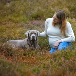 Schwangere Kundin sitzt im herbstlichen Heidekraut und streichelt ihren Silver Labrador Hugo, Hundefotografie in Bremen von Ines Arnshoff.