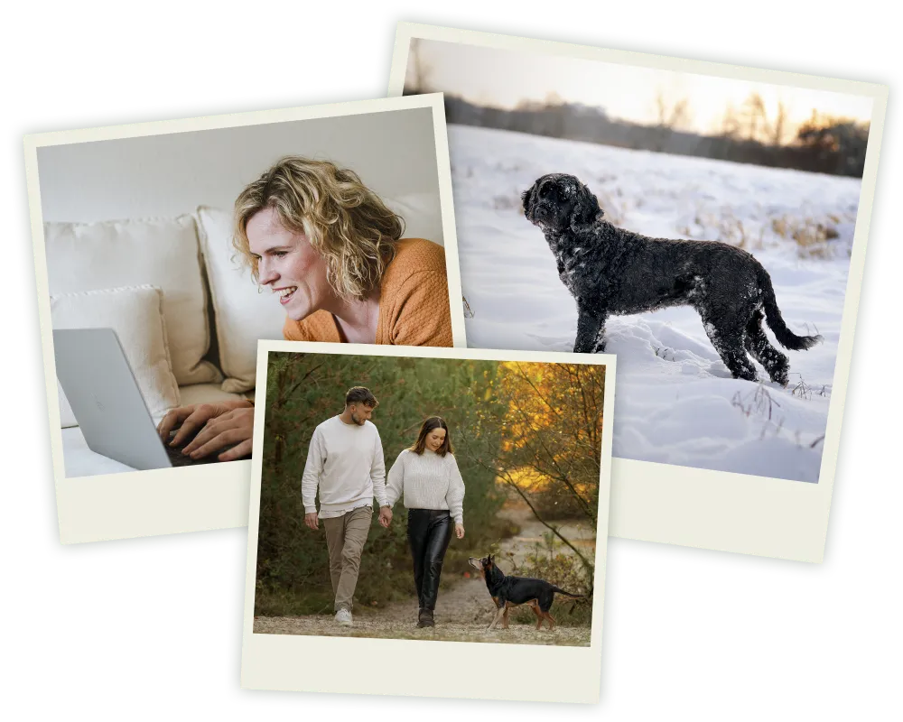Hundefotografin Ines Arnshoff bei der Fotoshootingplanung auf dem Sofa mit Laptop und Fragebogen