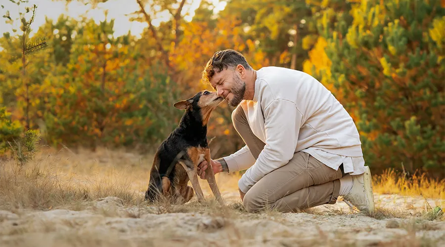 Mann kniet im Dünengras, sein Seniorhund stupst ihn zärtlich mit der Nase an, Hundefotografie in Bremen und Niedersachsen von Ines Arnshoff.