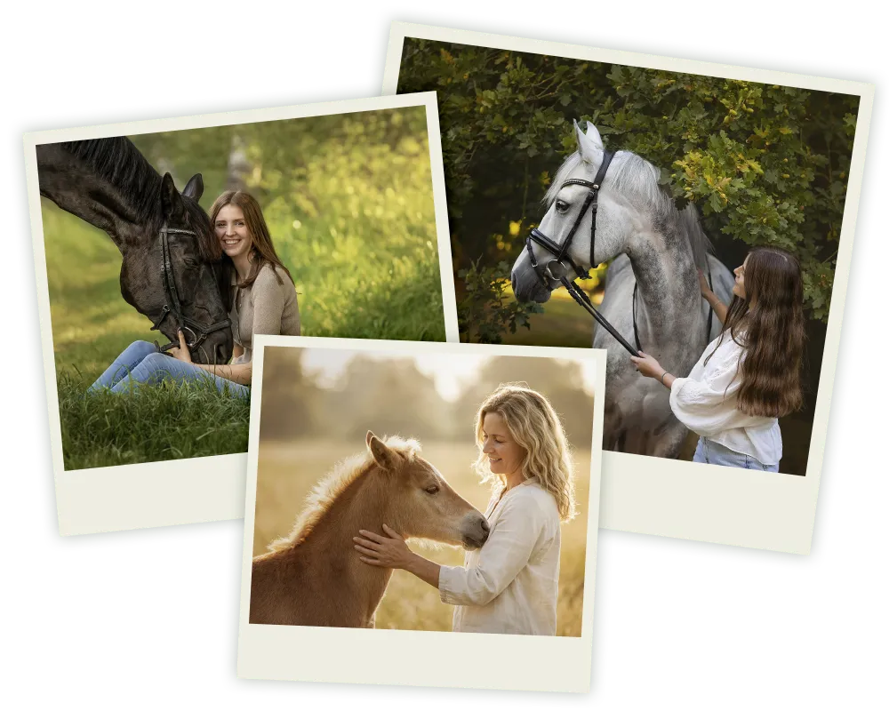 Frauen in Feldern mit Haflinger Fohlen und Schimmel.