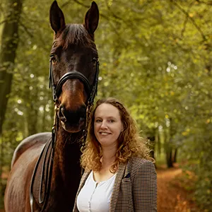 Fotoshooting mit Pferd im Herbst, ein Tag im Buchenwald