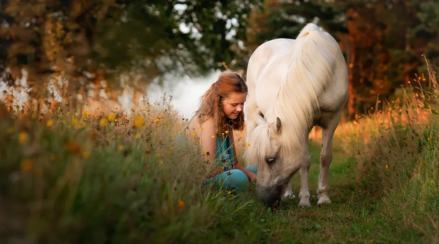 Mädchen sitzt im Abendlicht in einer Blumenwiese neben seinem weißen Pony, das ruhig grast, einfühlsame Pferdefotografie in Bremen und Niedersachsen von Ines Arnshoff.