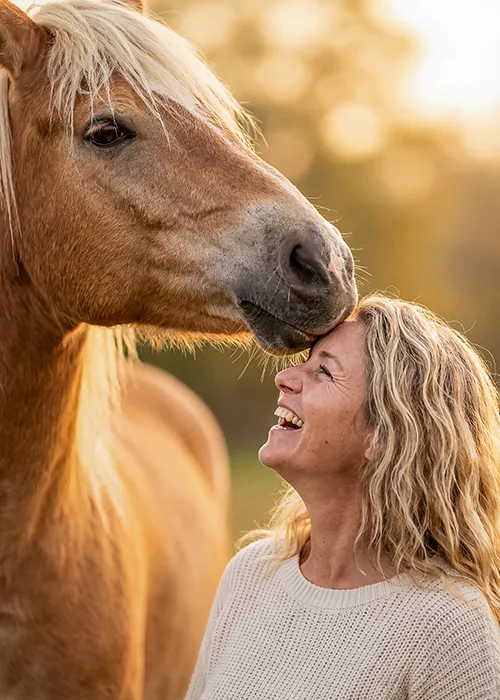 Frau lacht, während ihr Haflinger sie im goldenen Abendlicht sanft anstupst, Tierfotografie in Bremen und Niedersachsen von Ines Arnshoff.