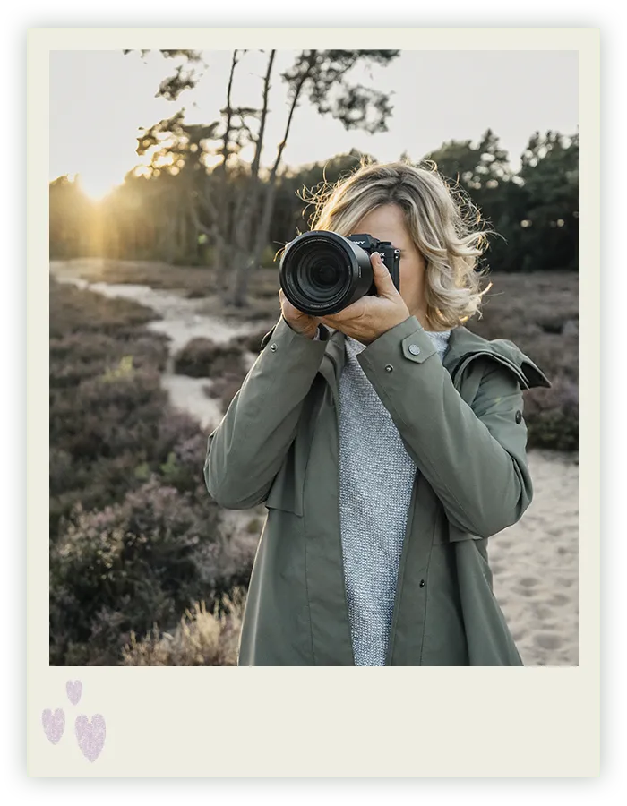 Tierfotografin Ines Arnshoff aus Bremen fotografiert in der blühenden Heide im Abendlicht.